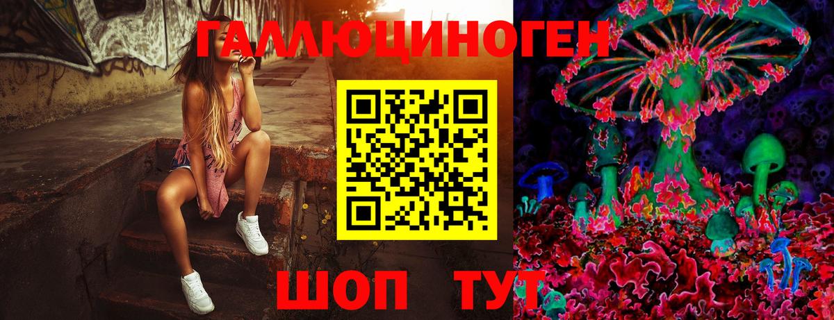 Галлюциногенные грибы Psilocybe Спасск-Дальний